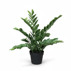 Artificial Lifelike ZZ Leaf Plant - 2 ft (60 cm)