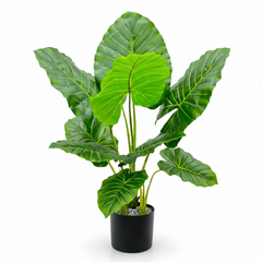 Artificial Dense Evergreen Leaf Plant - 3 ft (83 cm)