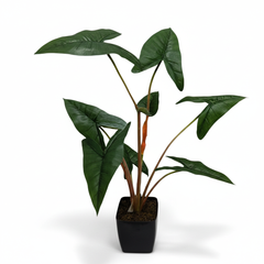 Artificial Green Caladium Leaf Plant 90cm (3ft)