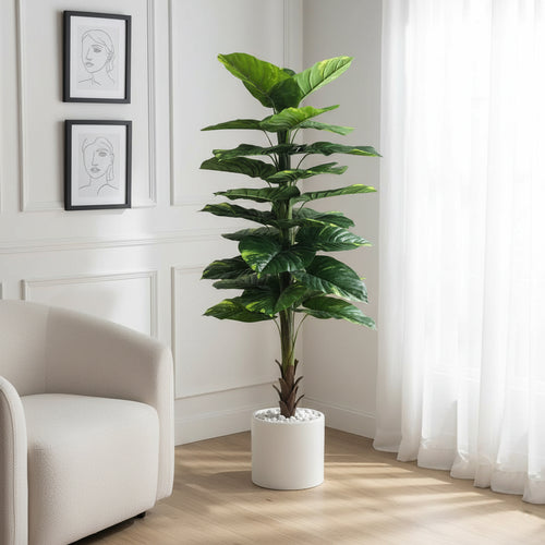 Artificial Wide Money Plant decor - 5.5 ft (160 cm)
