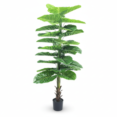 Artificial Chic Evergreen Leaf Trunk Plant - 5.5 ft (160 cm)