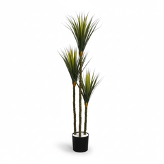 Artificial Everfresh Yucca X3 Plant - 4.5 ft (135 cm)