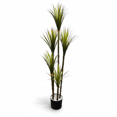 Artificial Urbane Yucca X5 Plant - 6 ft (180 cm)