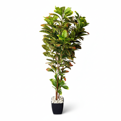 Artificial Matte Croton Plant Decor - 150cm (5ft)
