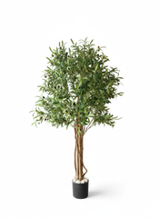 Artificial Greenery Olive Tree Decor - 150cm (5ft)