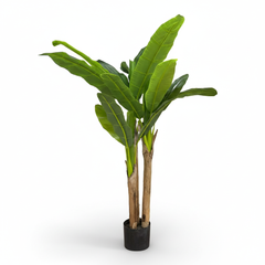 Artificial Signature Banana Plant with 2 Stems - 240cm (8ft)