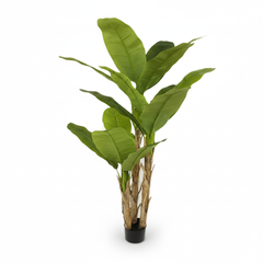 Artificial Modern Banana Plant Decor - 180cm (6ft)