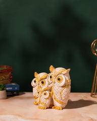 Golden White Owl Family