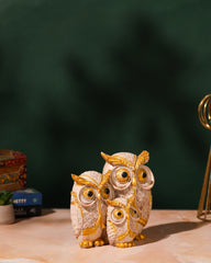 Golden White Owl Family