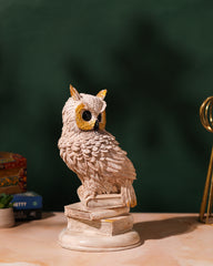 Wise White Owl on Book Stack