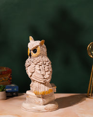 Wise White Owl on Book Stack