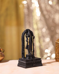 Ram Lalla Murti Black 8 inch