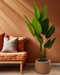 Artificial Banana Plant in Black Pot (180 cm)