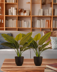 Artificial Potted Banana Plant (50 cm)