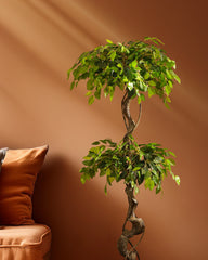 Artificial Ficus Bonsai in Black Pot (150 cm)