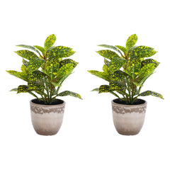 Artificial Potted Croton Plants (Green, 30 cm, Set of 2)