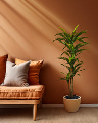 Artificial Dracaena Plant in Black Pot (170 cm)