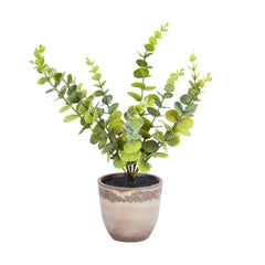 Artificial Potted Eucalyptus Plant (40 cm, Set of 2)