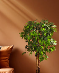 Artificial Ficus Plant in Black Pot (120 cm)