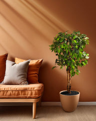 Artificial Ficus Plant in Black Pot (120 cm)