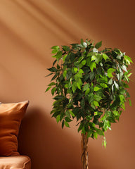 Artificial Ficus Plant in Black Pot (150 cm)