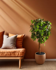 Artificial Ficus Plant in Black Pot (150 cm)