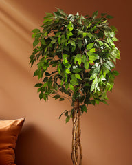 Artificial Ficus Plant in Black Pot (180 cm)