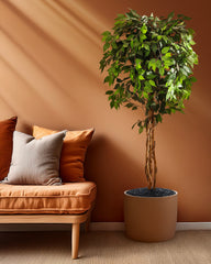 Artificial Ficus Plant in Black Pot (180 cm)