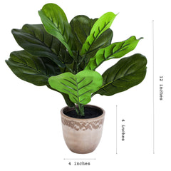 Artificial Potted Fiddle Leaf Fig Plants (35 cm, Set of 2)