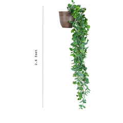 Artificial Potted Hanging Green Bush (Set of 2, 80 cm)