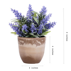 Artificial Potted Lavender Plant (Set of 2, 18 cm)