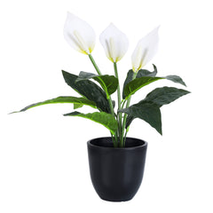 Artificial Potted Peace Lily Plant (40 cms, Set of 2)