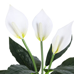 Artificial Potted Peace Lily Plant (40 cms, Set of 2)