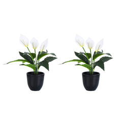 Artificial Potted Peace Lily Plant (40 cms, Set of 2)