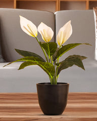 Artificial Potted Peace Lily Plant (40 cms, Set of 2)