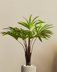 Artificial Rhapis Palm (60 cm)