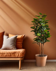 Artificial Rubber Tree in Black Pot (150 cm)