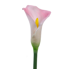 Artificial Calla Lily Flower Sticks (5 Sticks, 70 cm, Pink)