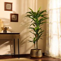 Artificial Dracaena Plant in Black Pot (170 cm)