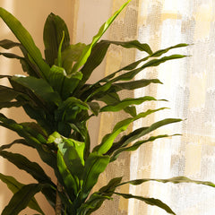 Artificial Dracaena Plant in Black Pot (170 cm)