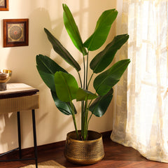 Artificial Banana Plant in Black Pot (160 cm)