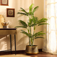 Artificial Areca Palm Plant in Black Pot (150 cm)