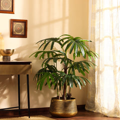 Artificial Rhapis Palm Tree in Black Pot (150 cm)