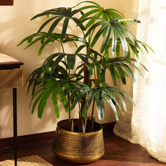 Artificial Rhapis Palm Tree in Black Pot (150 cm)