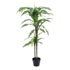 Artificial Dracaena Plant in Black Pot (120 cm)