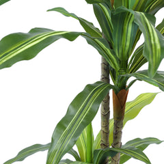 Artificial Dracaena Plant in Black Pot (120 cm)