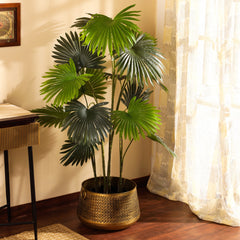 Artificial Fan Palm in Black Pot (160 cm)