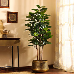 Artificial Rubber Tree in Black Pot (150 cm)