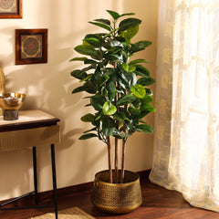 Artificial Rubber Tree in Black Pot (150 cm)