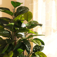 Artificial Rubber Tree in Black Pot (150 cm)